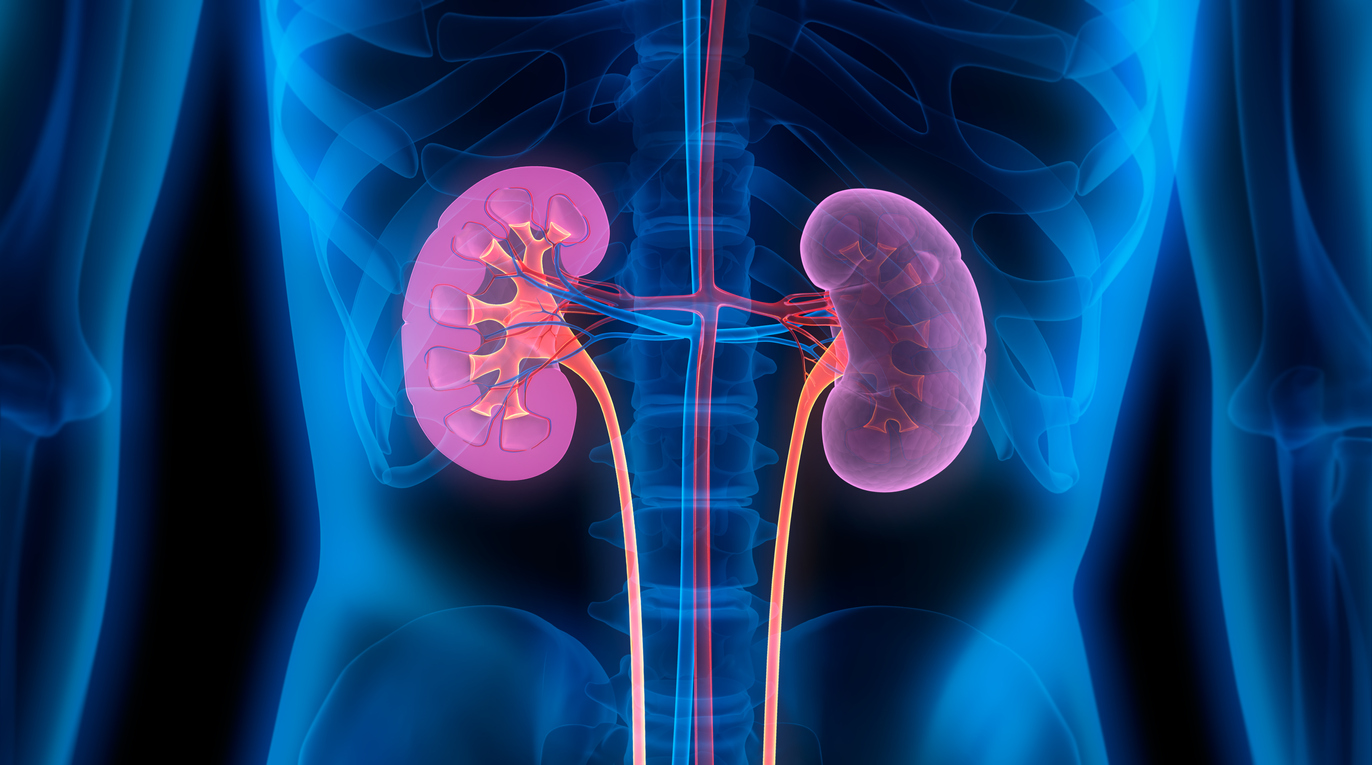 Top 10 Nephrology Products Companies In India